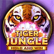 Tổng quan trò chơi bắn cá no789 casino