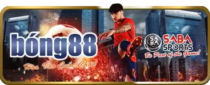 Trải nghiệm cá nhân hóa no789 casino